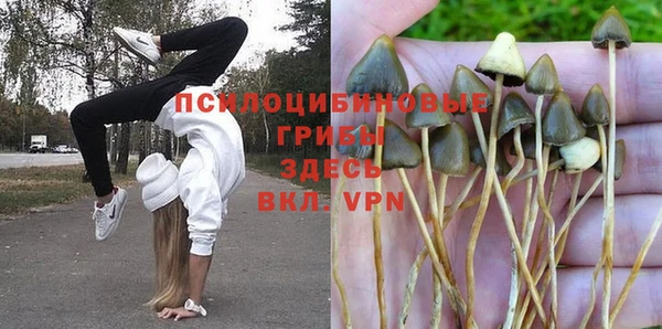 дживик Балабаново