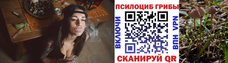 Псилоцибиновые грибы Psilocybe  Ессентуки 