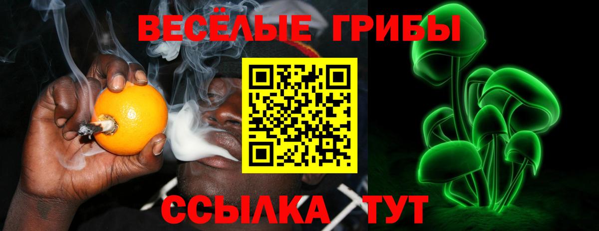 купить наркотик  Галлюциногенные грибы прущие грибы  Вход с VPN  Ессентуки  Галлюциногенные грибы мухоморы 